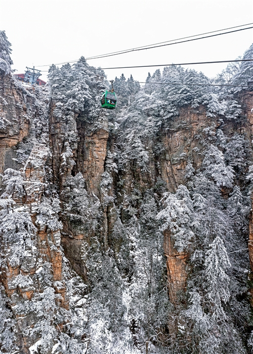《雪山綠精靈》