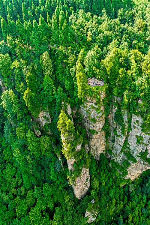《懸崖絕壁觀景臺》